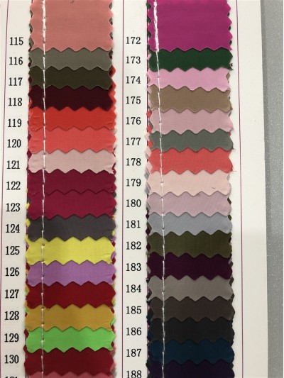 GZ-JNHE 1229 尼龍面料  背囊/雨衣面料  細節-1